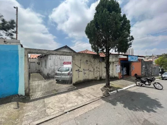 Imagem Terreno à venda, 260 m por R$ 800.000,00 - Vila Guilhermina - São Paulo/SP