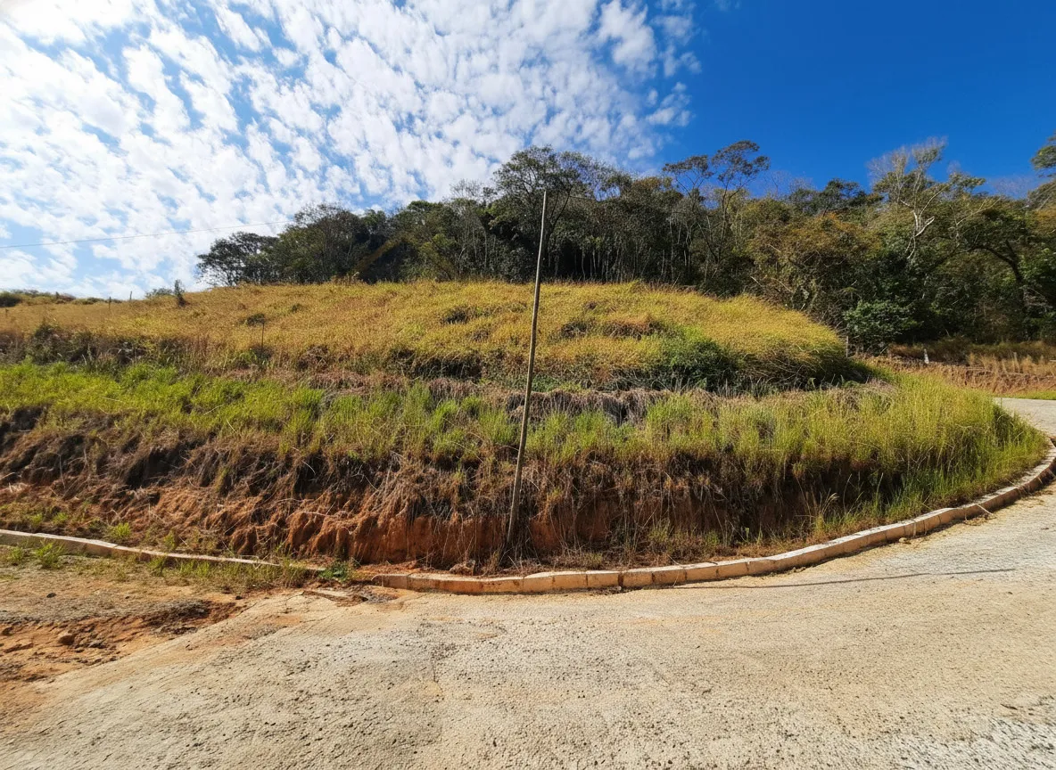 Terreno à venda em Pinheiros, Bandeira do Sul