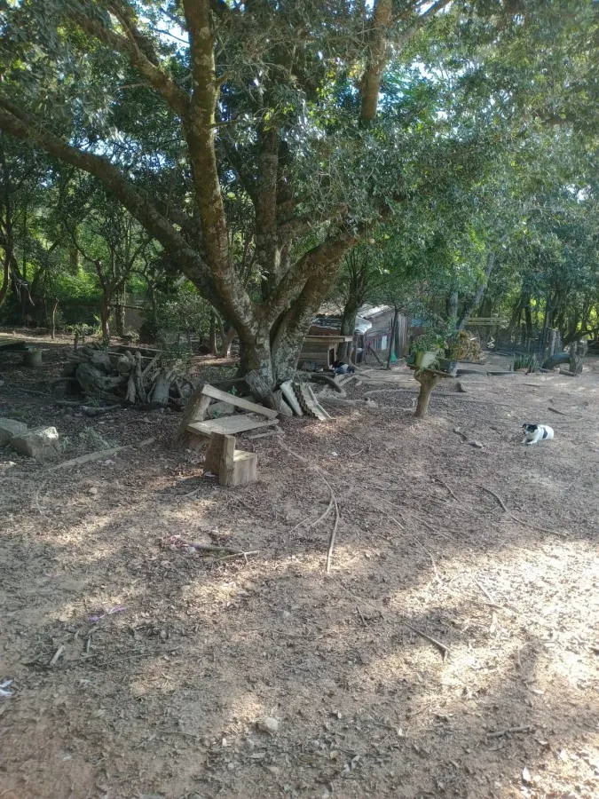 Imagem Sítio para Venda em Pelotas, Monte Bonito, 2 dormitórios, 1 banheiro, 1 vaga