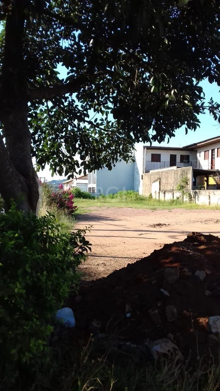 Imagem Terreno na vila nova