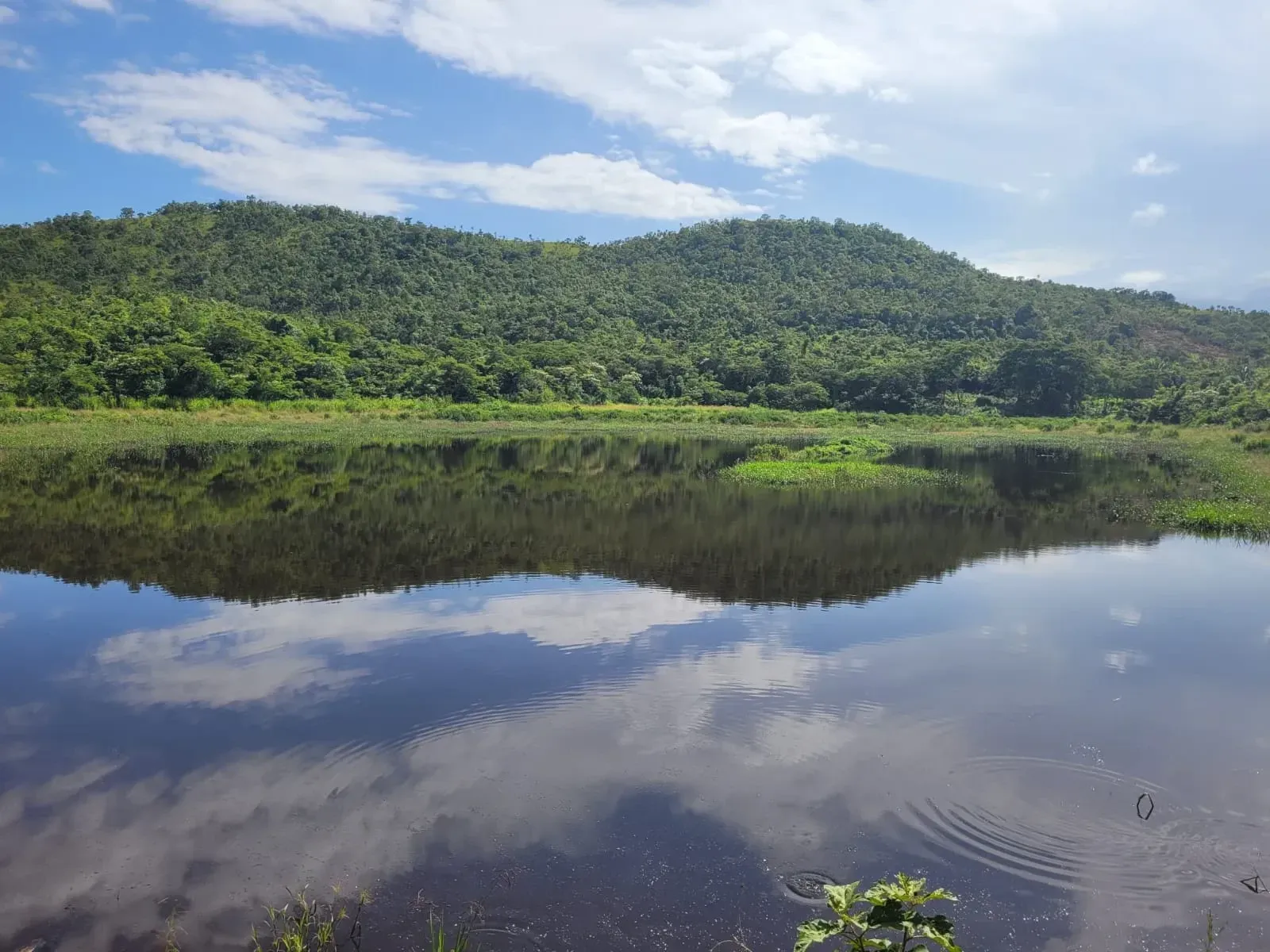 Imagem Fazenda à Venda, 600 HA em Floresta do Araguaia - Floresta do Araguaia
