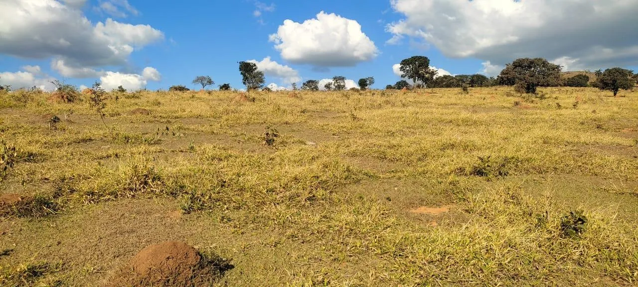 Imagem Vendo uma excelente fazenda na região de Itaúna/MG 212 hectares de terra