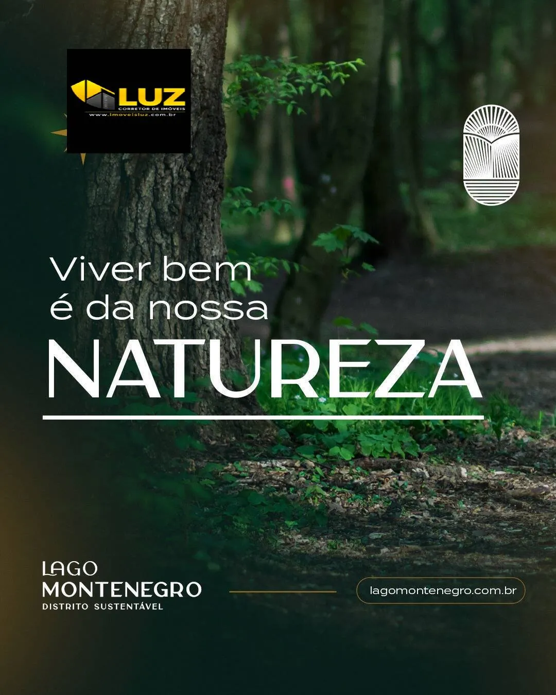 Imagem SUPER LANÇAMENTO - IPÊ BRANCO E IPÊ AMARELO - LAGO MONTENEGRO