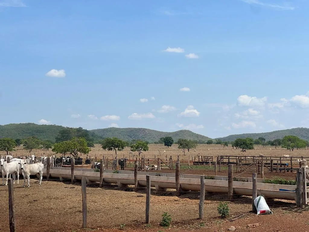 Imagem FAZENDA À VENDA - REGIÃO DE UNAÍ (MG) 1.400 hectares de terra