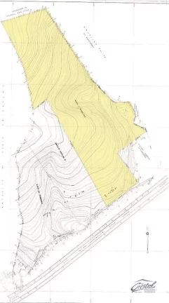 Imagem Área com 63.202,79m² BR 116, km 297