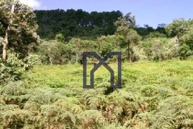 Imagem Sítio à venda, 570000 m² por R$ 3.548.741,00 - Vila Maria - Piranguçu/MG