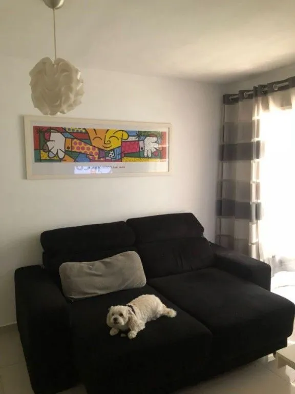 Imagem Apartamento à Venda em Vila Guilherme, São Paulo - SP