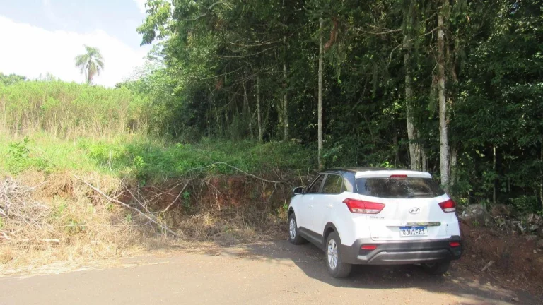Imagem Terreno para Venda em Concórdia, Rural