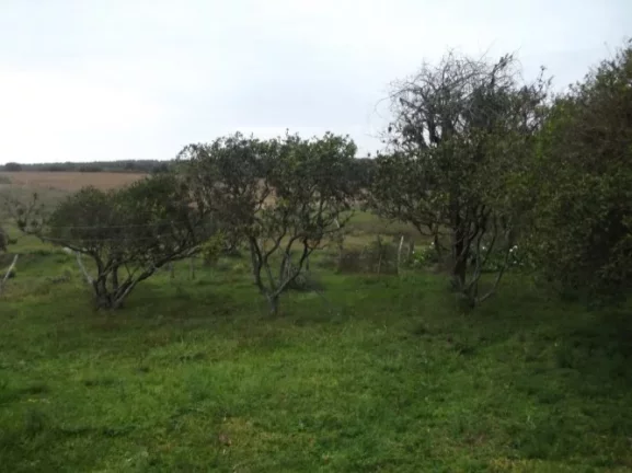 Imagem Sitio Rural com 10.8 hectares, Aguadas, Costa do Oveiro, Viamão/RS