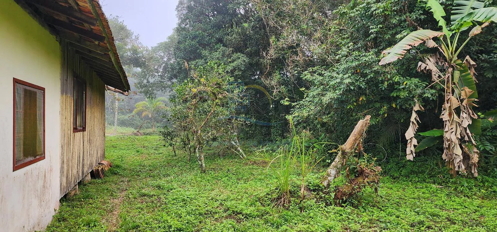 Imagem Vendo Terreno com casa de madeira Praia do Erwino