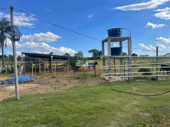 Imagem Chácara à venda na Área Rural de Uberaba - Ótima oportunidade!