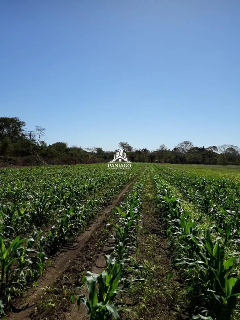 Imagem Sítio de 10,63 Hectares à Venda em Leverger/MT | Estrutura para Pecuária