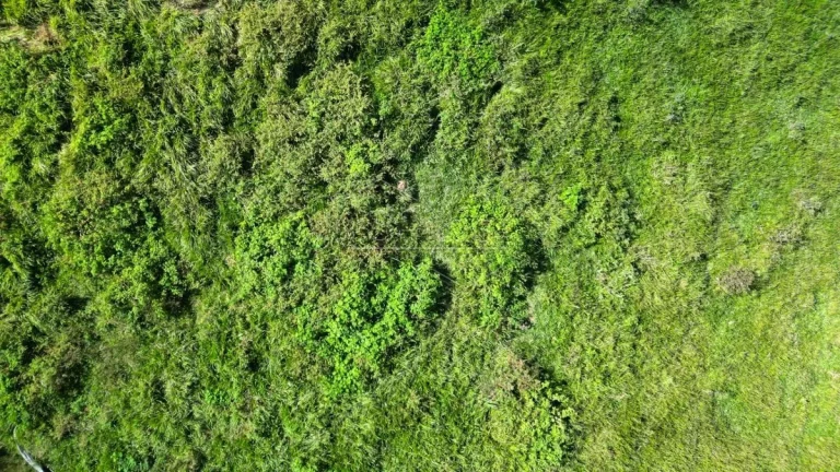 Imagem Oportunidade de Terrenos na serra