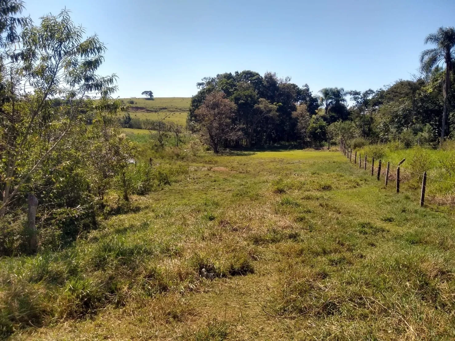 Imagem Chácara à venda, Bosque dos Ipês, Guaratinguetá, SP