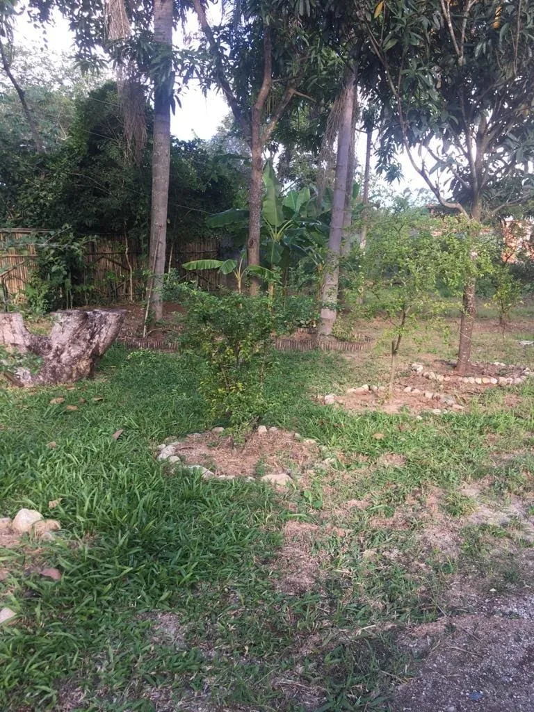 Imagem Chácara à venda 3 Quartos, 2000M², Mandú, Pindamonhangaba - SP