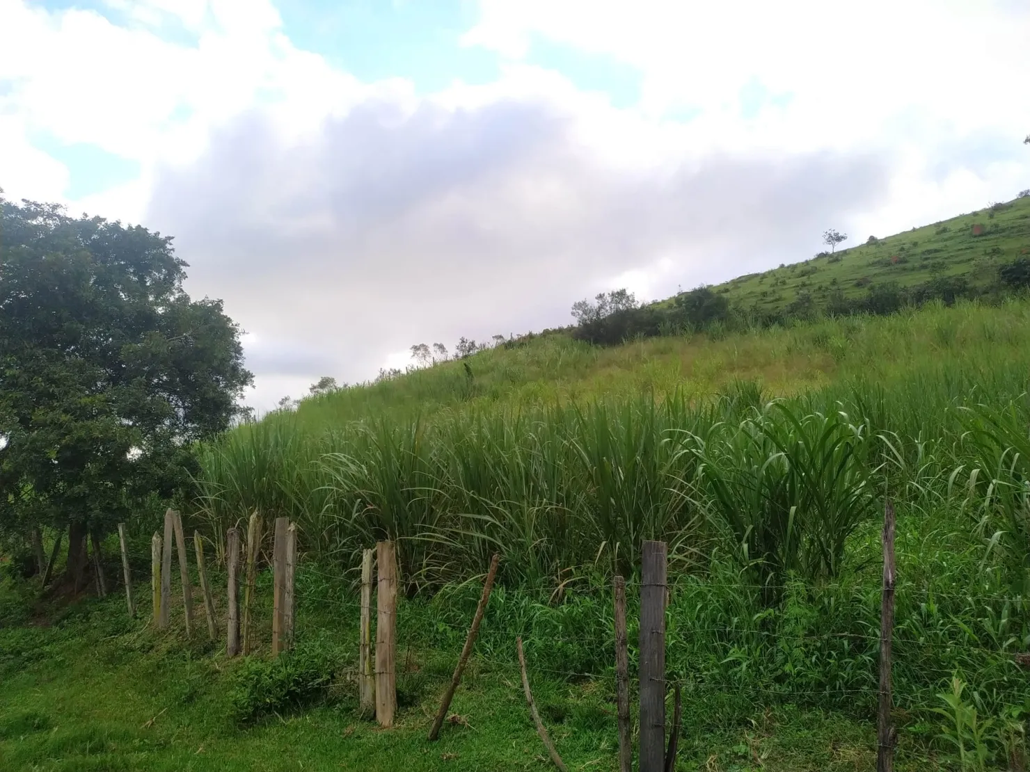 Foto do imóvel Chácara à venda 3 Quartos, 1 Suite, 96800M², Zona Rural, São Luiz do Paraitinga - SP