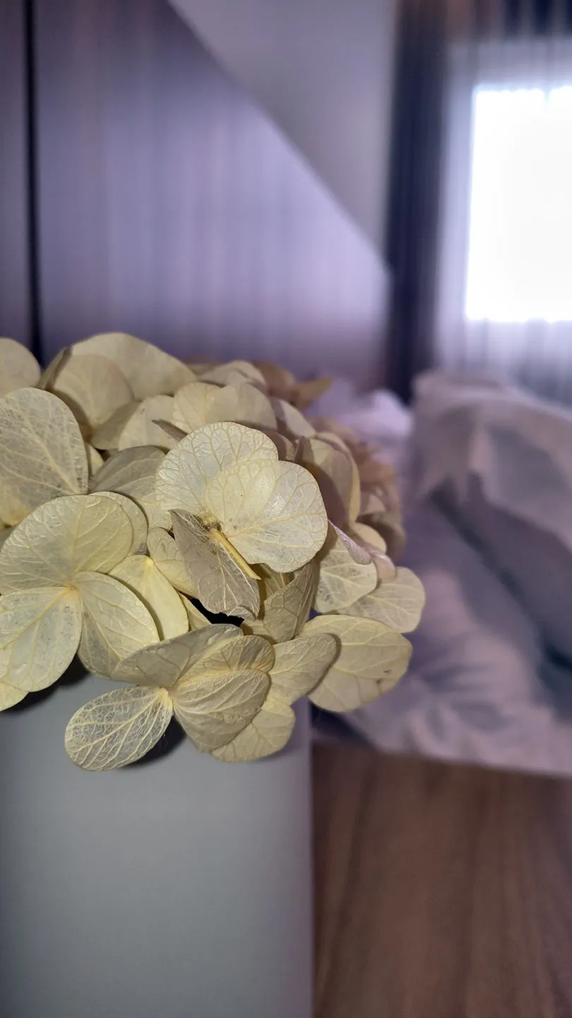Imagem Apartamento à venda em Caxias do Sul, Panazzolo, com 2 quartos, 85m2