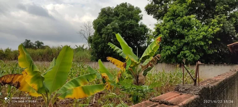 Imagem Terreno em Araçoiaba da Serra