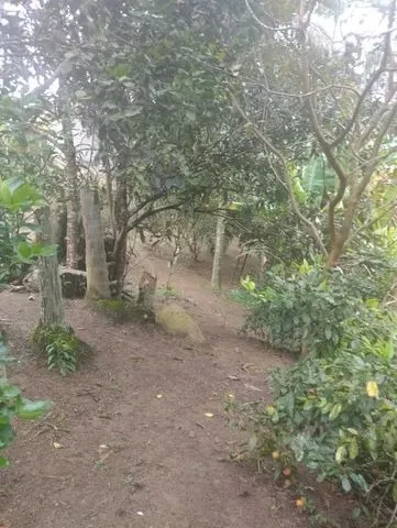 Imagem Chacara ibiuna 4.500 MTS,com 5 dormitórios sendo 4 suítes