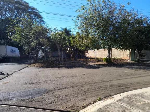 Imagem Terreno Padrão