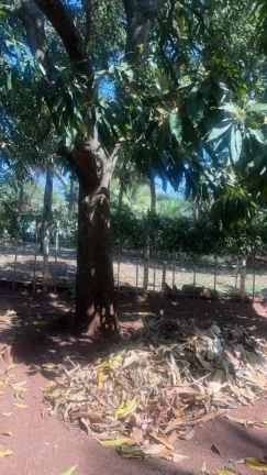 Imagem Rancho a VENDA, Bairro Marilândia, AREALVA/SP