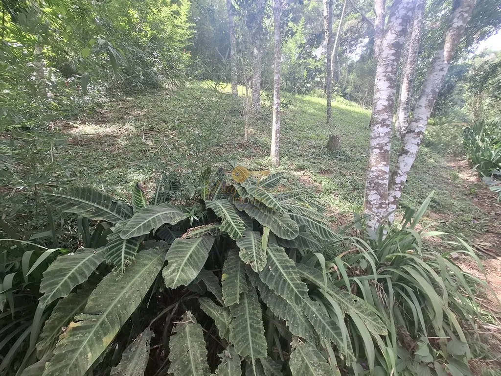 Imagem Terreno para Venda em Teresópolis / RJ no bairro Albuquerque