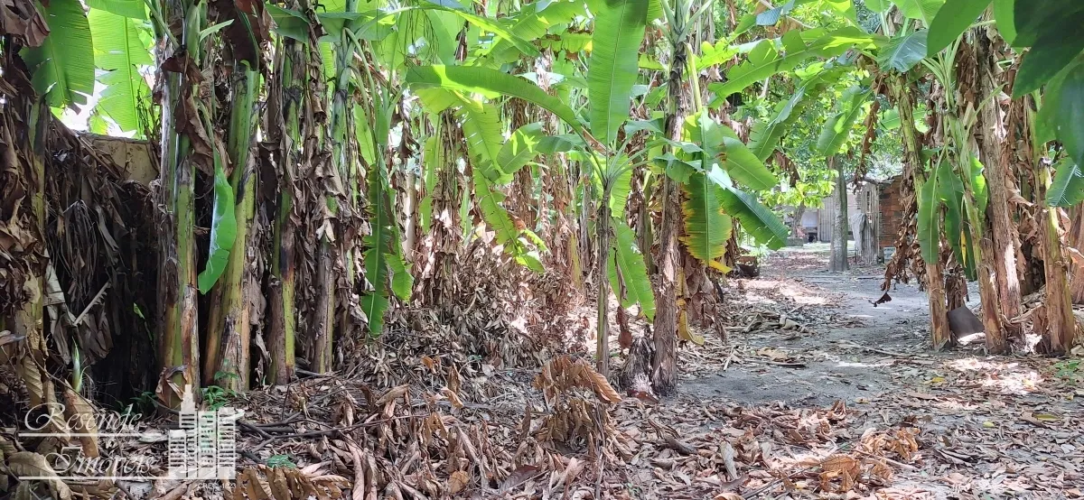 Imagem CASA 5 DORMITÓRIOS À VENDA EM UMARIZAL, BELÉM/PA