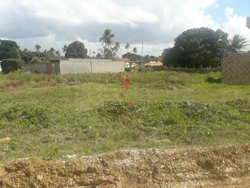 Imagem Terreno 304m² Nova Cruz Igarassu/PE