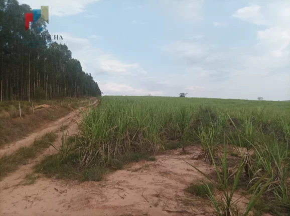 Imagem Fazenda Região de Piracicaba SP