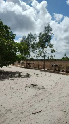 Imagem Granja para Venda em Rio do Fogo, Água Verde