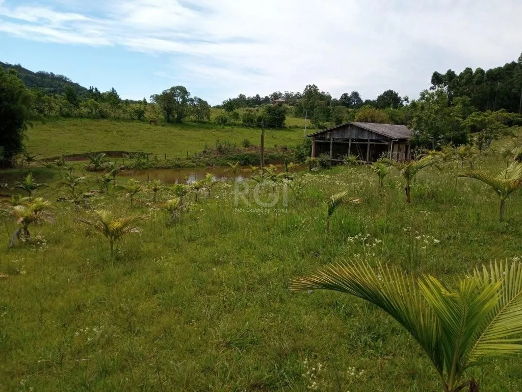 Imagem Boletto Imóveis vende Sitio na RS, Com 7 casas, 2 comerciais, excelente local para vários seguimento fácil acesso , rota para gramado, R$3.900,000,00
