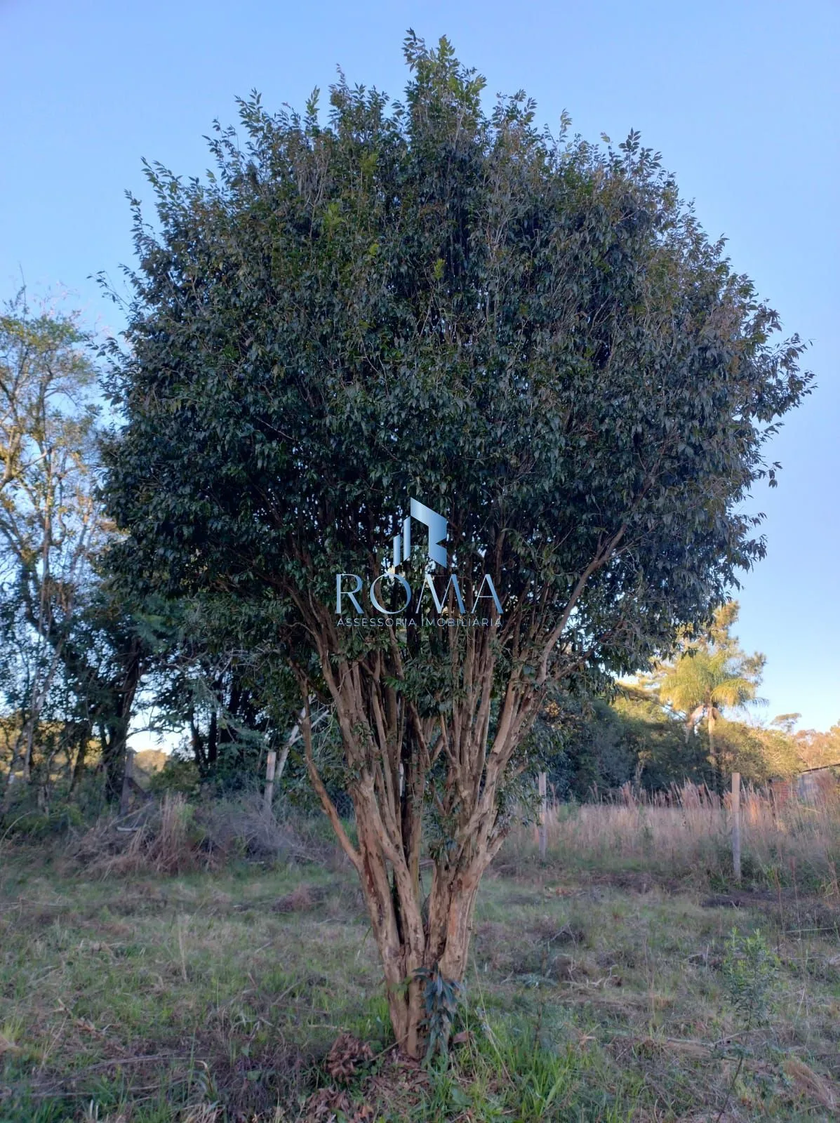 Imagem Terreno à venda Parque Serrano I Itaara/RS