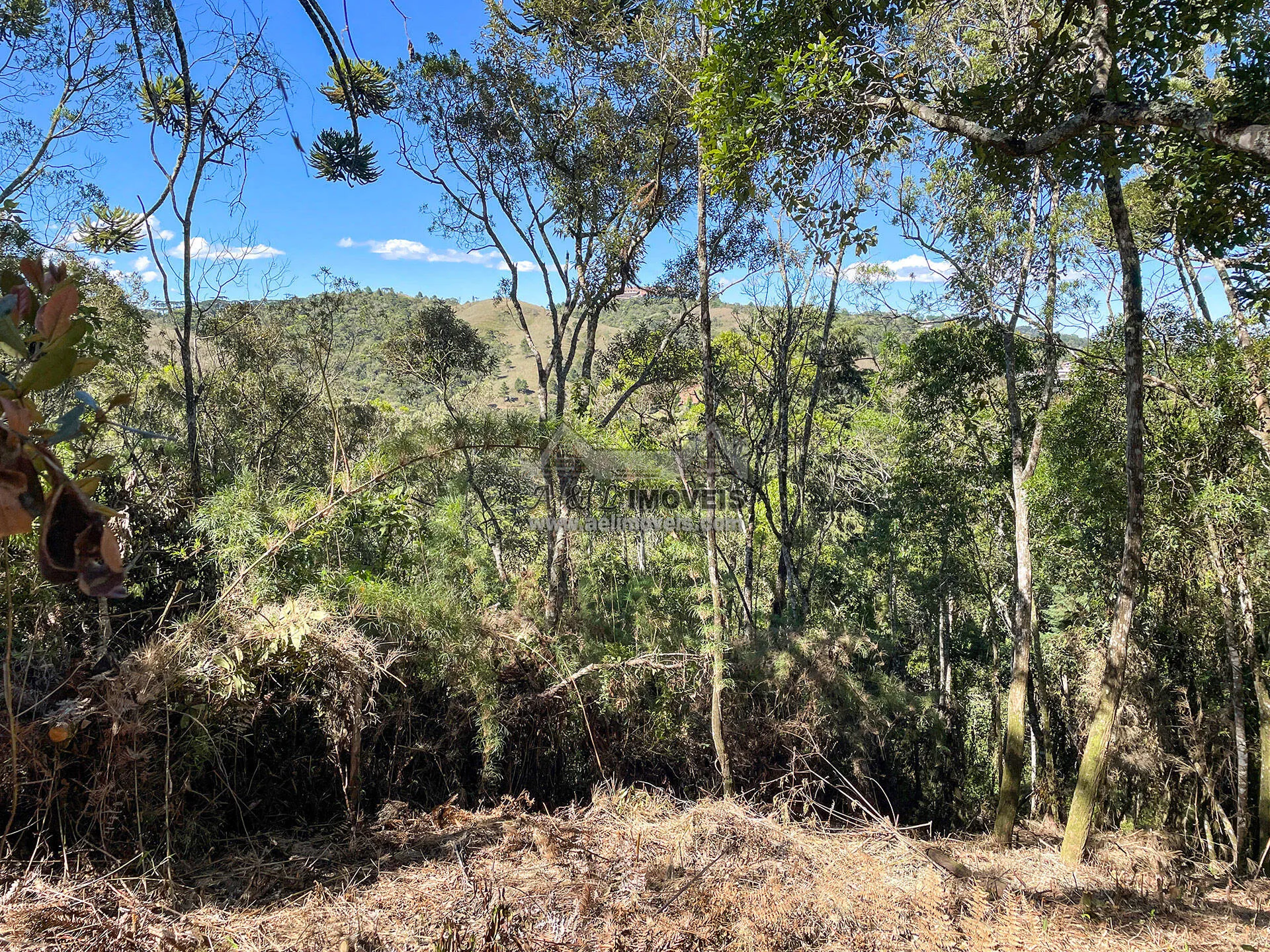 Imagem Terreno à venda em Campos do Jordão - Excelente opção para investimento