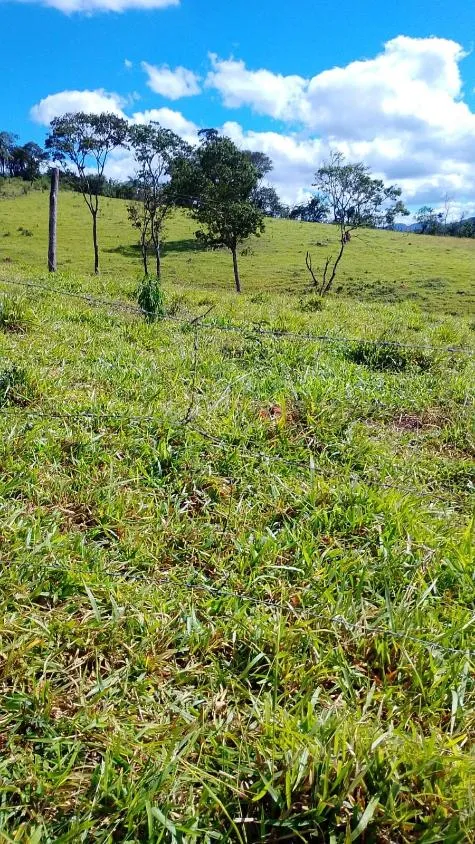 Imagem VENDO FAZENDINHA NA REGIÃO DE Brumadinho / MG Área total de 14 hectares
