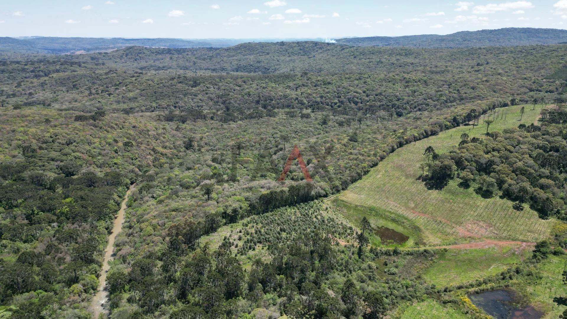 Imagem CHACARA A VENDA NO DISTRITO DO GUAIRACA, GUARAPUAVA - PR
