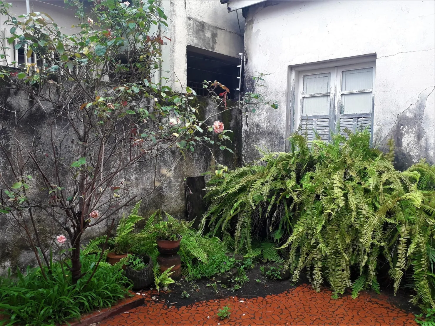 Imagem Casa à venda 4 Quartos, 1 Vaga, 1000M², Centro, Taubaté - SP