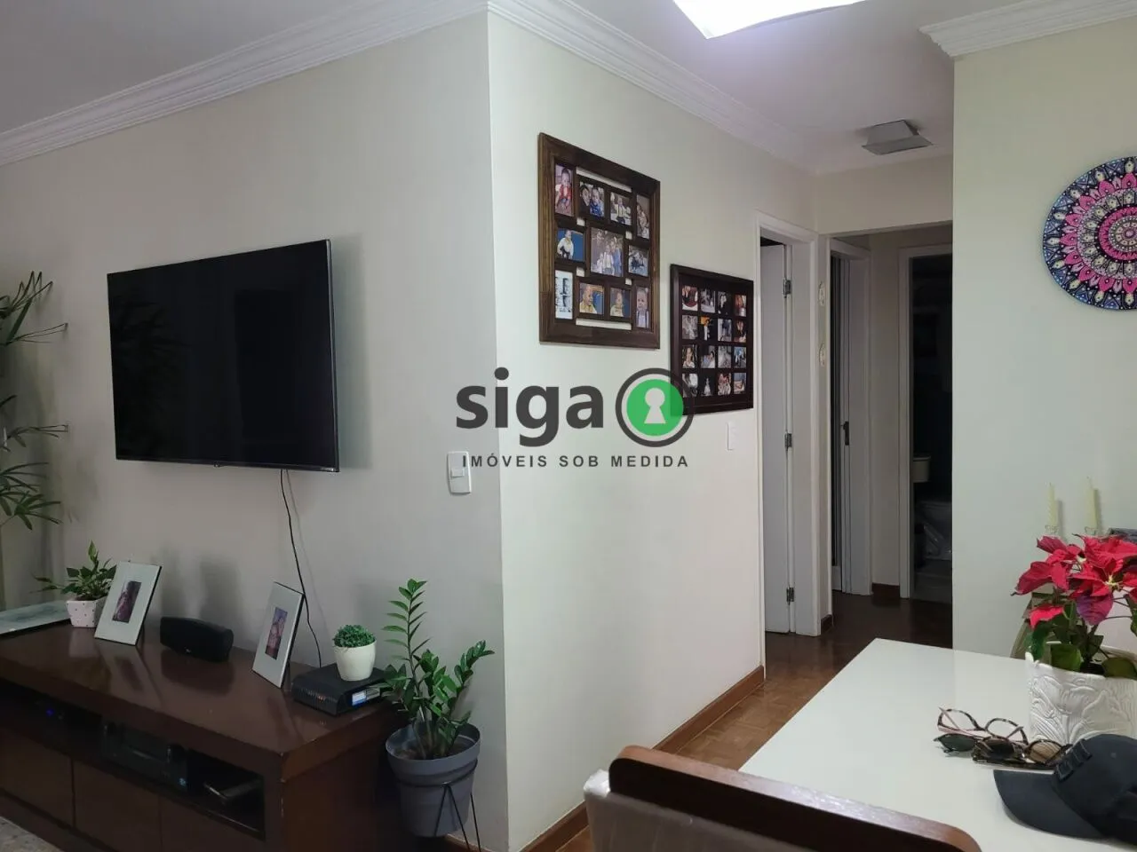 Imagem APARTAMENTO 2 DORMITÓRIOS, 1 VAGA, NA SAÚDE