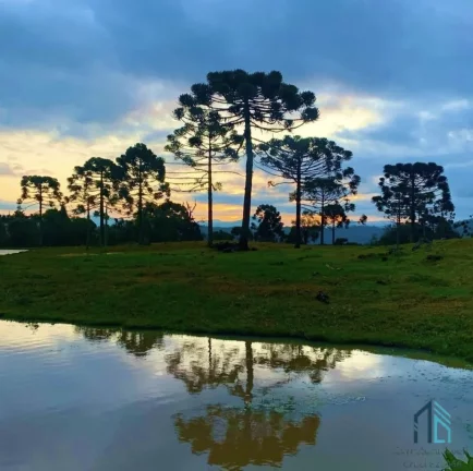 Imagem Fazenda/Chales com 44 hectares no Morro Azul em Urubici, SC