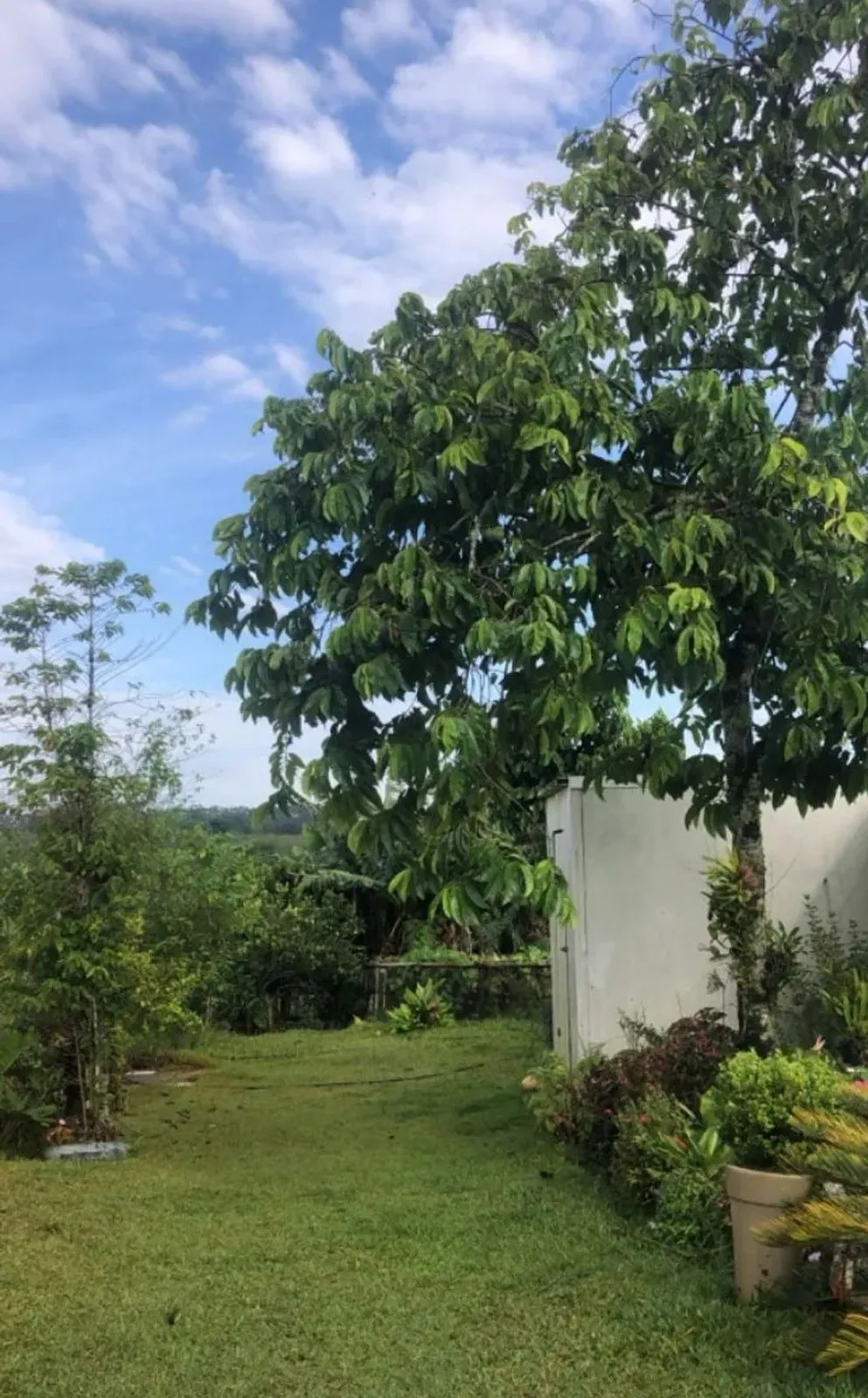 Imagem Propriedade incrível à venda em São Miguel Arcanjo - Potencial Produtivo e Lazer em Meio à Natureza