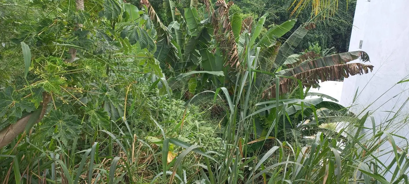 Foto do imóvel Terreno para Venda em São Sebastião, São Francisco da Praia