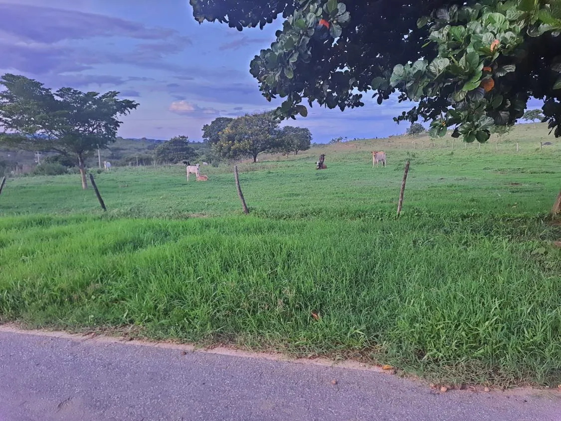 Imagem Oportunidade Imperdível: Fazenda de 1.272 Hectares em Augusto de Lima