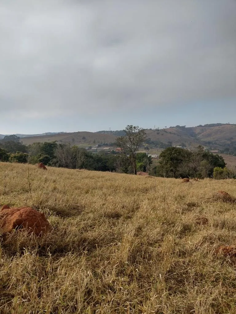 Imagem Chácara à venda 20832.5M², Barreiro, Taubaté - SP
