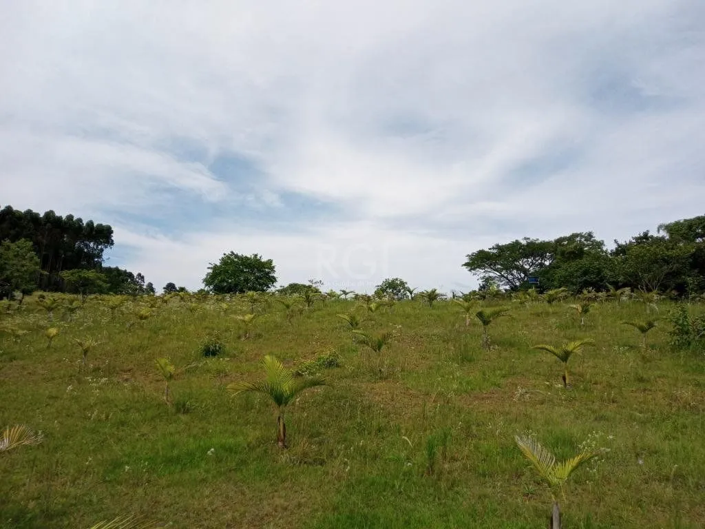 Imagem Boletto Imóveis vende Sitio na RS, Com 7 casas, 2 comerciais, excelente local para vários seguimento fácil acesso , rota para gramado, R$3.900,000,00