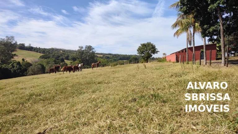 Imagem Vende - Lindo Haras - 5,5 Alqueires –Estrutura Completa– Itu/SP