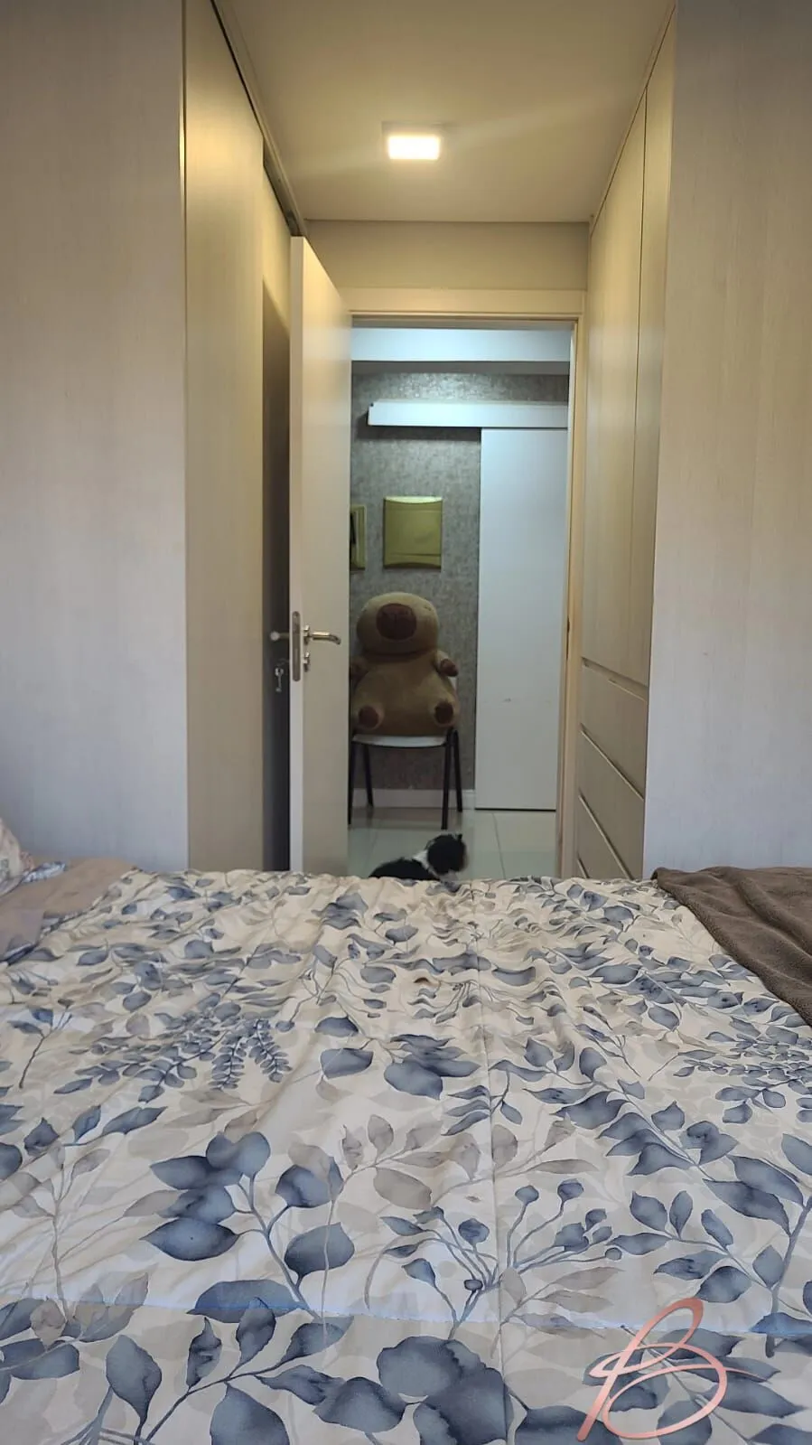Imagem Apartamento em Ressacada, Itajaí/SC