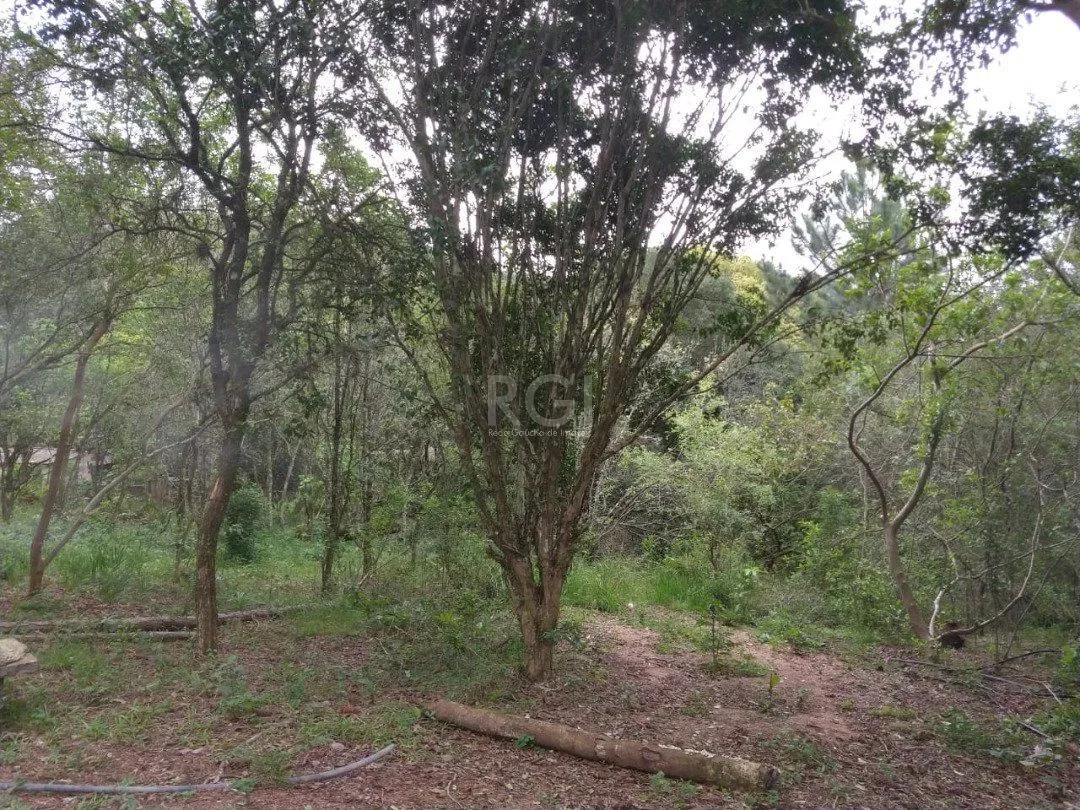 Imagem Área para Venda - 11,39ha, bairro Belém Velho