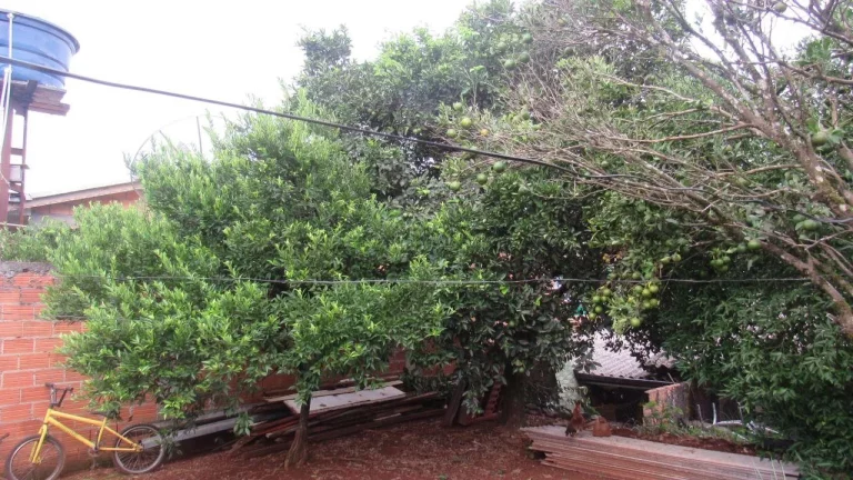 Imagem Casa para Venda em Concórdia, Santa Rita, 1 dormitório, 1 banheiro