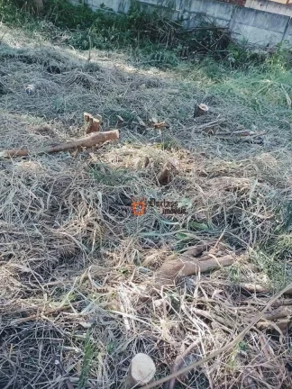 Imagem Terreno à venda, 769 m² por R$ 320.000,00 - Loteamento Vale Das Flores - Atibaia/SP