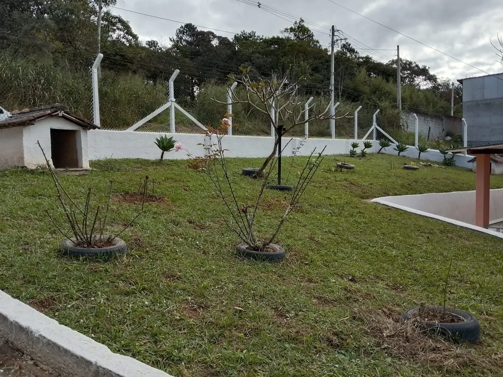 Imagem Chácara com 3 Quartos à Venda, 600 m² em Estância Americana - Suzano