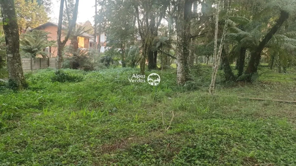 Imagem Vende-se Área com 3.995 m2 a cerca de 2 minutos da Rua Coberta